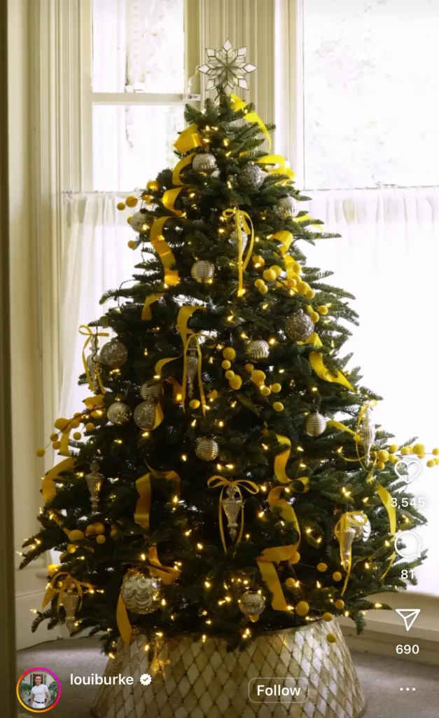 Christmas tree theme ideas